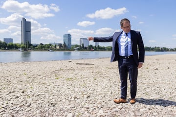 Umweltminister blickt besorgt auf den Mai: Dieses Phänomen ist "vollkommen ungewöhnlich"