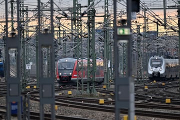 Aus dem Schlaf in die Untersuchungshaft: Zwei Brüder festgenommen