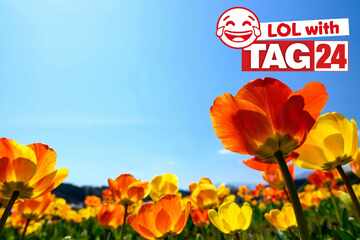 Joke of the Day for April 7, 2026: A springtime silly