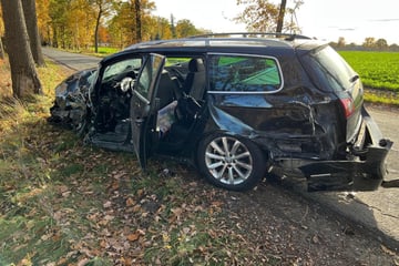 Tragödie im Norden: Mann kracht mit Auto gegen Bäume und stirbt