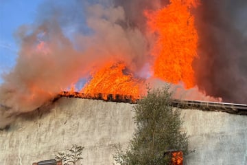 Leipzig: Rauchwolke im Süden Leipzigs: Brand auf Betriebsgelände lässt Dach einstürzen