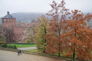 November zeigt graue Seite: Trübe Stimmung im Südwesten