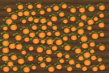 Knobelei des Tages vom 12.10.2026: Findest Du den Kürbis, der aus der Reihe tanzt?