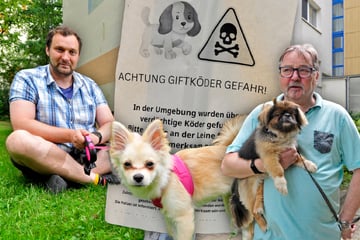 Chemnitz: Treibt hier ein Hundehasser sein Unwesen? Chemnitzer Herrchen in Angst vor Giftködern