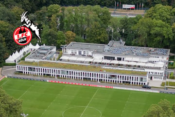 Endlich grünes Licht fürs Leistungszentrum! 1. FC Köln erhält Genehmigung für Bauvorhaben