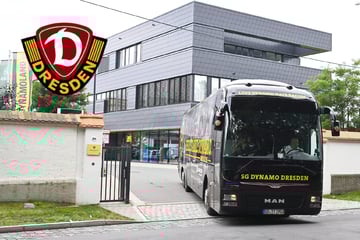 Dynamo im Trainingslager: Mit Neuzugang im Gepäck - SGD auf dem Weg ins Camp
