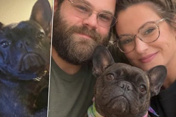 Hündin Cassie wollte ihre Besitzer schützen - und bezahlte dafür mit ihrem Leben