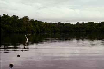 Lake where hundreds of dolphins died reached jacuzzi temperatures, researchers find