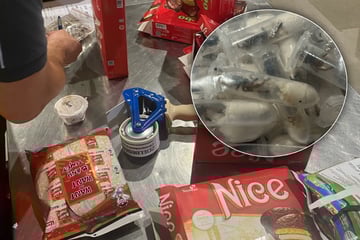 Köln: Kölner Zoll macht ekligen Fund: Tausende Vogelspinnen im Keks-Paket