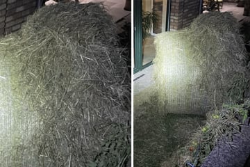Getrocknete Gefahr: Strohballen-Geschoss verwüstet Garten