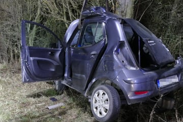 Auto brutal um Baum gewickelt: Fahrer stirbt an der Unfallstelle