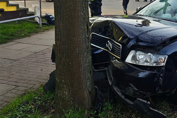 Audi kracht nach Kollision gegen Baum: Vater (44) und Tochter (11) verletzt