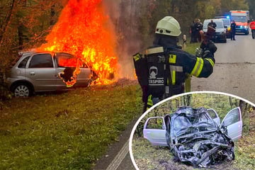 Opel prallt frontal gegen Baum und geht in Flammen auf: Fahrer verletzt