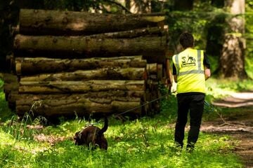 Leiche in Wald bei Benndorf entdeckt: Ist es seit Ostersonntag vermisste Frau?