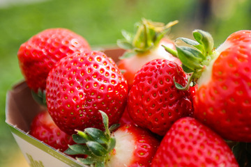 Frucht als Wunderwaffe? Deshalb solltet Ihr Euch jeden Tag Erdbeeren gönnen