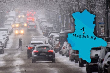 Winter setzt sich fest: Dauerfrost und Schnee in Sachsen-Anhalt