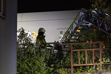 Teenager (14) bekommt Stromschlag beim Trainsurfen - 80 Prozent seiner Haut verbrannt