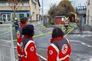 Scheune auf Weingut abgebrannt: Sechsstelliger Schaden