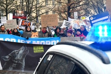 Vom Tierschützer zum Kriminellen: Gehen Aktivisten mittlerweile zu weit?