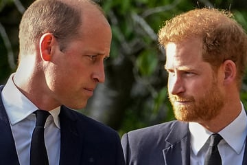 Endlich Versöhnung mit König Charles: Royales Wiedersehen auch zwischen den Streit-Brüdern Harry und William?
