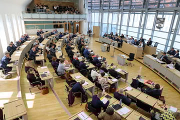 Landtag erhöht Bezüge für Abgeordnete: Steuerzahlerbund äußert Kritik