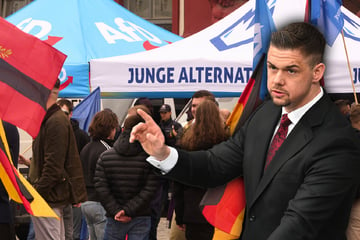 Alternative zur "Jungen Alternative": AfD trennt sich von Jugendorganisation