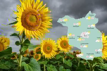 Wechselhaftes Wetter in Berlin und Brandenburg: Teils Gewitter und Starkregen