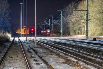 Reh von Regionalzug erfasst: Strecke zwischen Erfurt und Weimar gesperrt