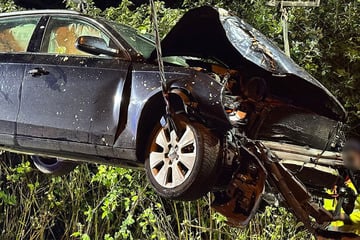 Auto kracht gegen Baum: Doch wer saß am Steuer?