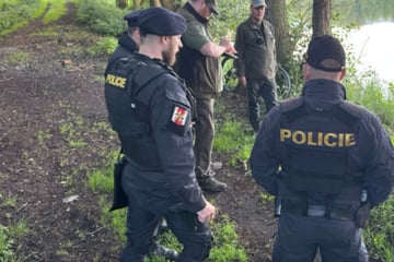 Horror unweit deutscher Grenze: Mutter wirft Neugeborenes Hunden zum Fraß vor