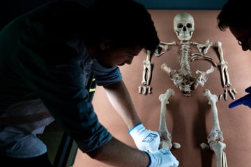 Das sind die Kultur-Highlights in Sachsen-Anhalt in 2026