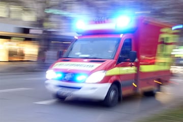 Mann will Wespennest mit Deo entfernen und setzt Dachstuhl in Brand