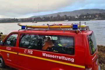 Mit Boje kollidiert: Besetztes Ruderboot auf Rhein gekentert