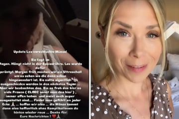 Tanja Szewczenko está exausta: a radiografia mostra o que seu filho Leo (3) tem na barriga!