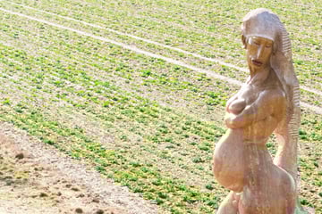 Nackte Schwangere an Bundesstraße sorgt für Empörung