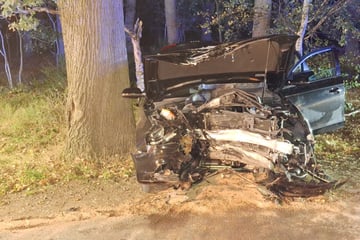 Auto weicht Reh aus und kracht gegen Baum: Drei Schwerverletzte!
