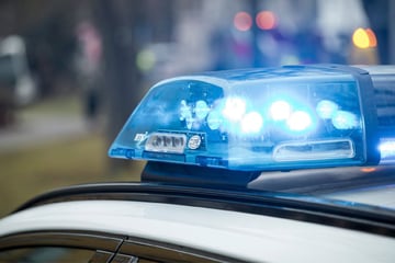 Razzien in Deutschland und Rumänien: Ermittler legen Auto-Mafia das Handwerk
