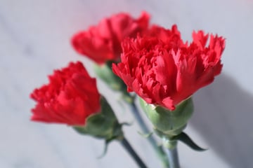 Tag der Arbeit: Schöne Grüße und lustige Sprüche zum 1. Mai