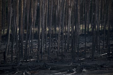 Brand auf Saalfelder Höhe gelöscht!