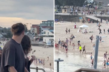 "Terrified" Sydney man falsely labeled as Bondi Beach shooter pleads for help in dispelling misinformation