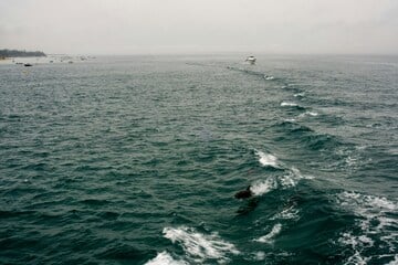 Spruch des Tages vom 12.3.2026 - Tägliche Inspiration von TAG24