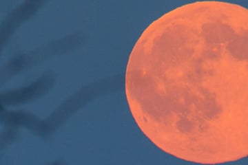 Seltenes Himmels-Spektakel: Gigantischer Erdbeermond strahlt heute über Deutschland