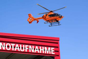 Baum-Crash im Landkreis Mecklenburgische Seenplatte: Autofahrer stirbt