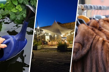 Leipzig: Ob Ruhe im Grünen oder Party beim Festival: Das geht diese Woche in Leipzig