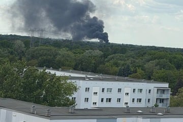 Berlin: Weit sichtbare Rauchsäule am Pankower Himmel: Feuerwehr im Einsatz