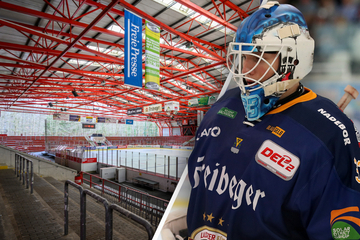 Eispiraten knacken Crowdfunding-Ziel nach 3 Tagen! Goalie Quapp im Anflug