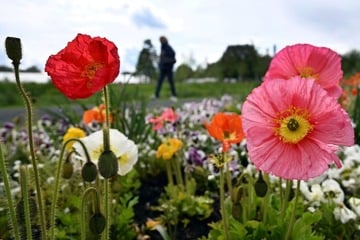 Temperaturen ziehen wieder an! Nächster Wetter-Umschwung zum Ende der Woche