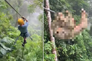 Entonces, ¿qué es eso?  Niño volando por la selva en tirolesa, ¡de repente choca contra un animal!