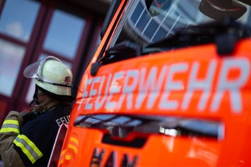 Junger Mann tötet Käfer mit Feuerstrahl: Kurz darauf brennt Wohnung