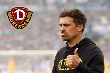 Vorzeitiger Dynamo-Aufstieg verhindert, doch Trainer Stamm sieht das Positive